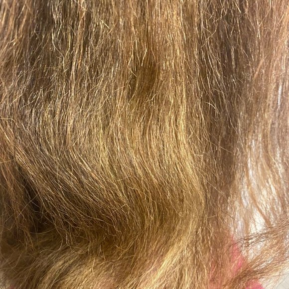 New 100% Human Hair Yaki Textured Wig main image 5
